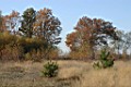IMG_3300.jpg